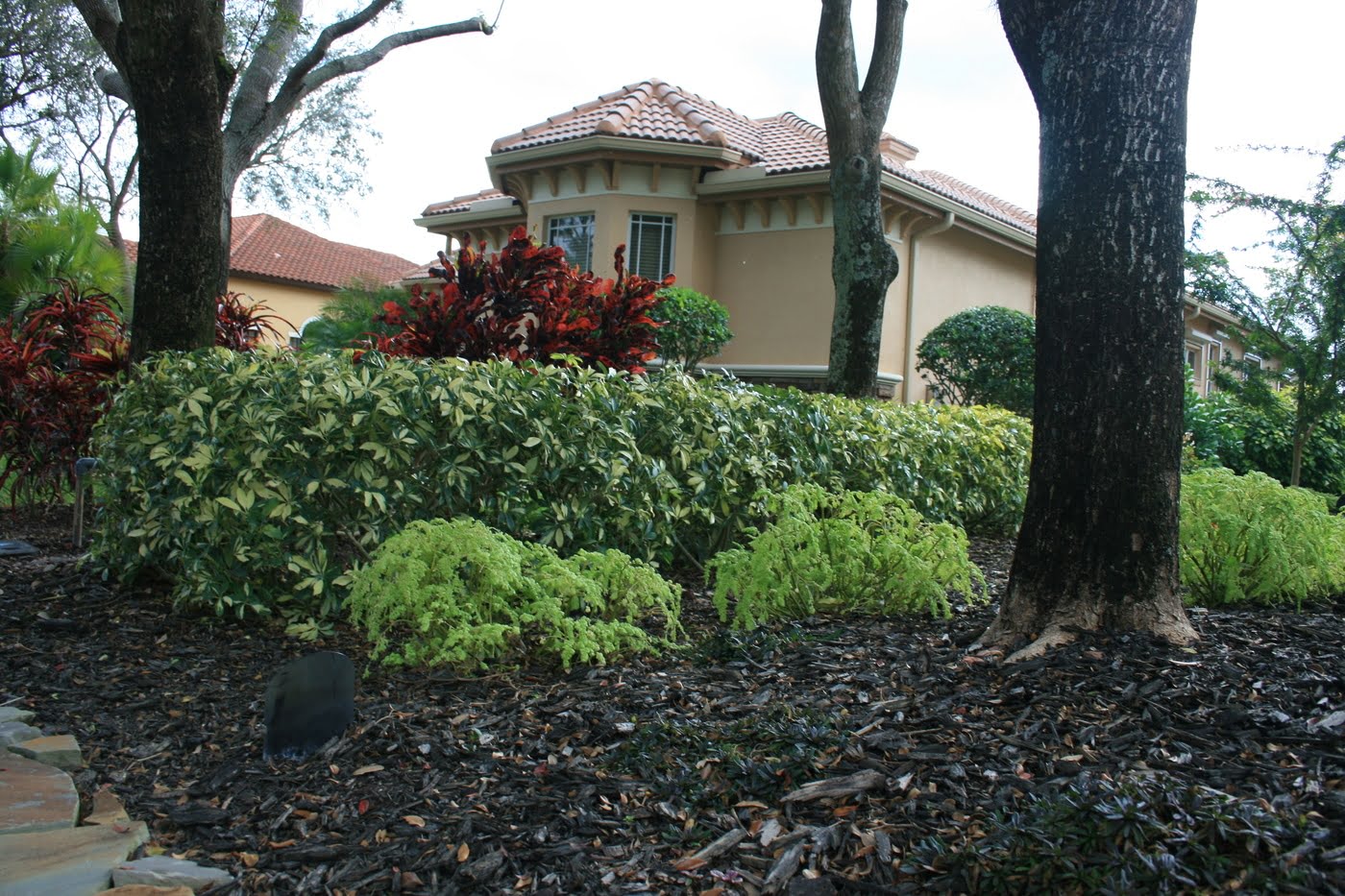residential_image Lee Lawn and Tree